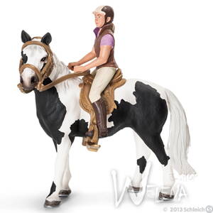 42057 - Postroj na koně s jezdkyní